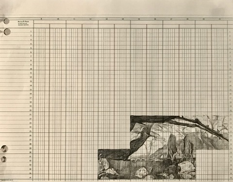 Martha Schlitt TREES DURING THE PANDEMIC graphite on paper