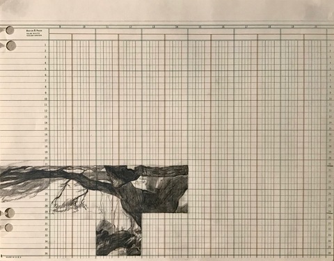 Martha Schlitt TREES DURING THE PANDEMIC graphite on ledger paper
