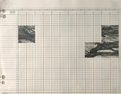 Martha Schlitt Trees During a Pandemic graphite on ledger paper