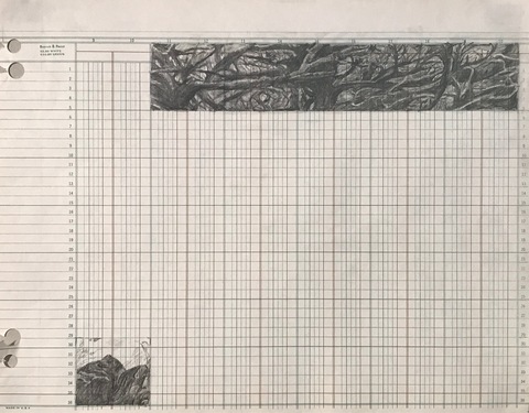 Martha Schlitt Trees During a Pandemic graphite on ledger paper