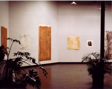 Marty Baird Installations ArtsCenter, Carrboro, Nc