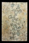 Marty Baird Land Marks ink, charcoal, graphite on paper