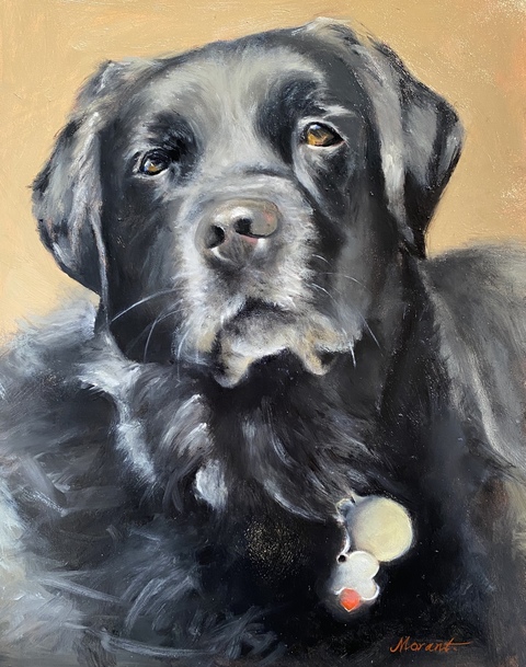MARY MORANT Dog Portraits Oil on linen board
