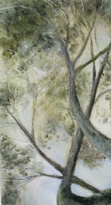 Mary Scurlock  Paintings 2009-2010 oil, graphite and wax on panel