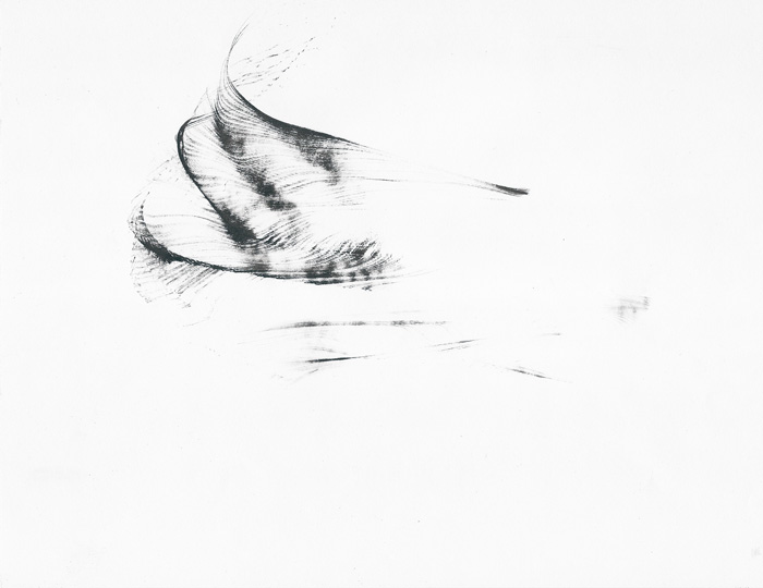 Masako Miyazaki Flyer series (drawings) Ink on paper