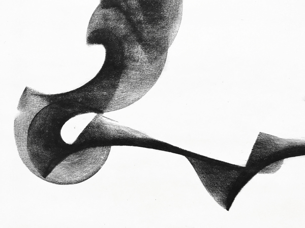 Masako Miyazaki Peripatesia (drawings) Charcoal on paper mounted on board