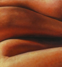 Matthew Lahm Fleshforms 2004-2006 Oil on Canvas