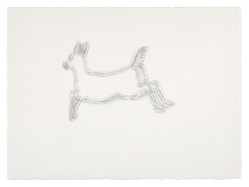Sorry Deer #6 sorry deer Graphite on Paper