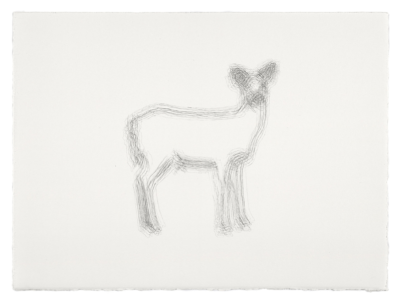 Sorry Deer #7 sorry deer Graphite on Paper