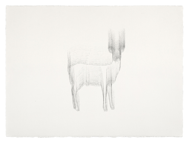 Sorry Deer #5 sorry deer Graphite on Paper