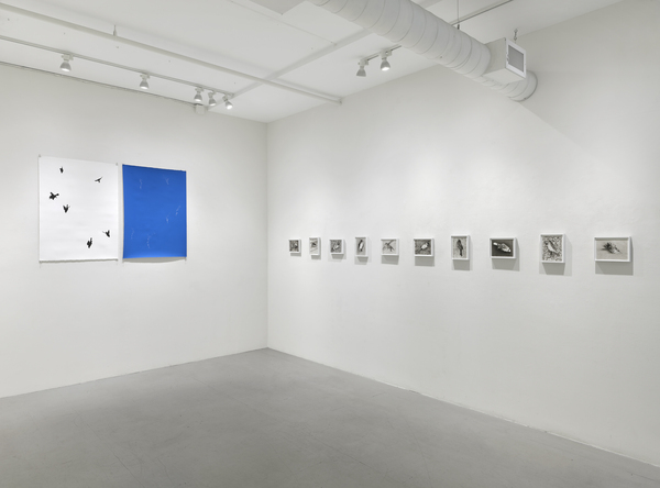  false azure: ellen miller gallery 