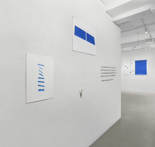  false azure: ellen miller gallery 