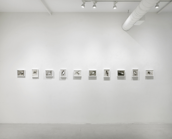  false azure: ellen miller gallery 