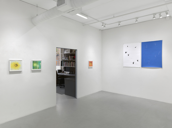  false azure: ellen miller gallery 