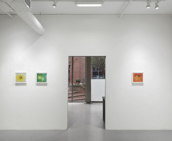  false azure: ellen miller gallery 