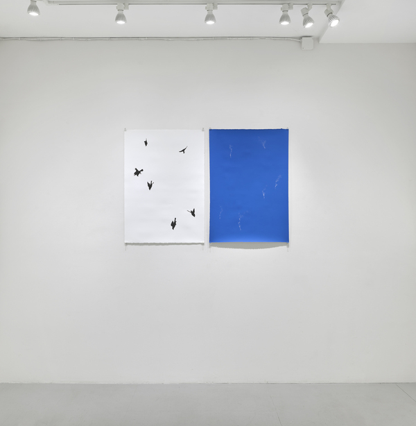  false azure: ellen miller gallery 