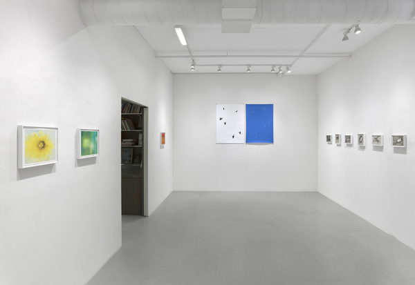  false azure: ellen miller gallery 