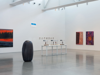  center for maine contemporary art 2025 biennial 