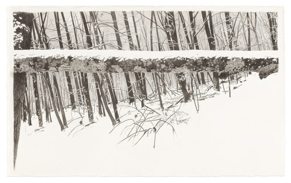 Meg Alexander snow and ice India ink and graphite on paper