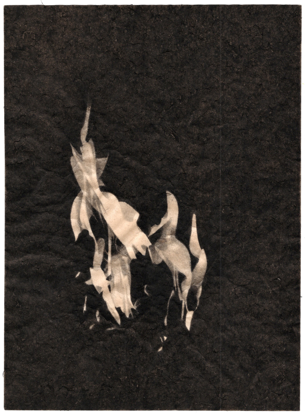 Meg Alexander fire India ink on Nepal paper