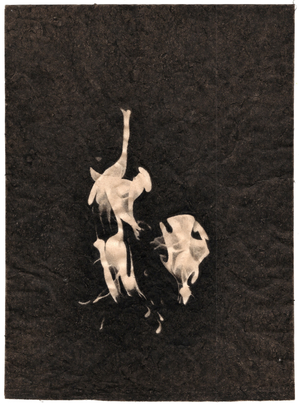 Meg Alexander fire India ink on Nepal paper