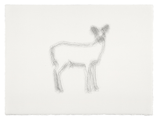 Meg Alexander sorry deer series Graphite on Paper