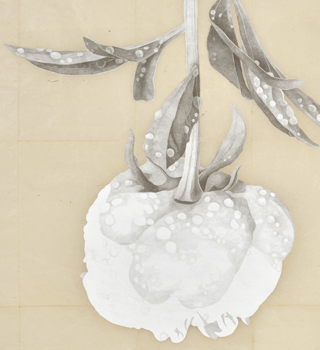 Meg Alexander marden peony, after the rain Absorbent ground, acrylic gesso, India ink and graphite on Nepal paper