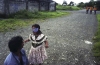  Children of Pesticides 