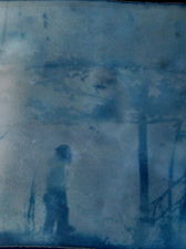 Margaret L. Holmes Cyanotypes  Cyanotype