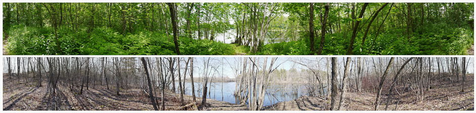 Path to River, Durham River Park June and April (dual 360 degree views), 2010 Michael Kolster Androscoggin River (ME) archival pigment print