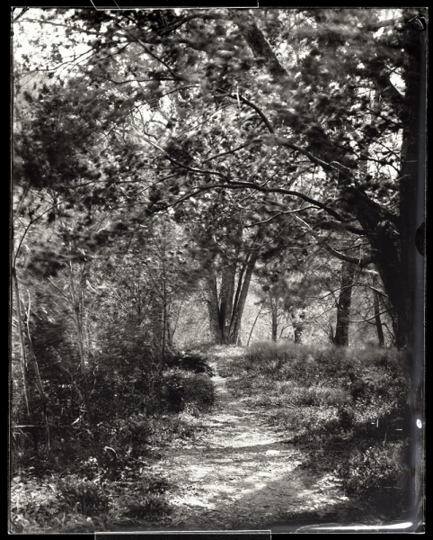Path to River, Glasgow, 2012 Michael Kolster James River (VA) ambrotype