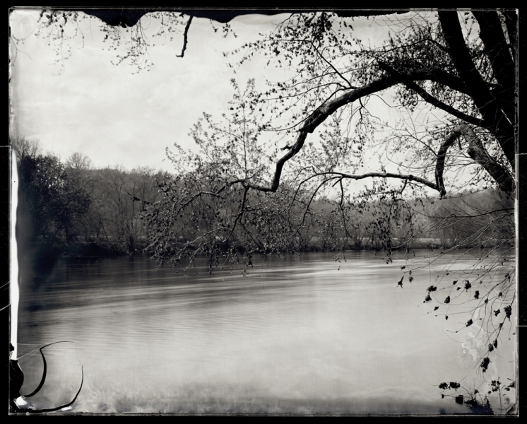James River State Park 1, Gladstone, 2012 Michael Kolster James River (VA) ambrotype