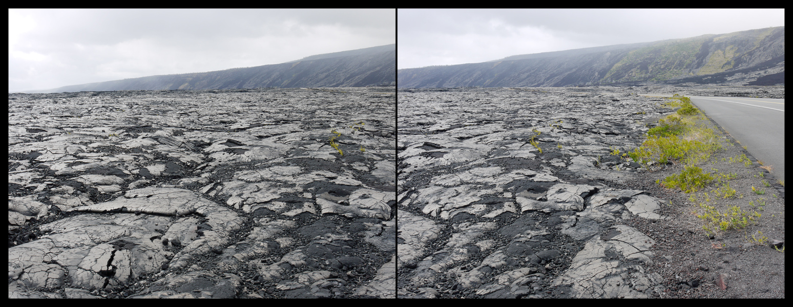 view from road across lava flow, Chain of Craters Drive, Hawai'i Volcanoes National Park Michael Kolster Views archival pigment print