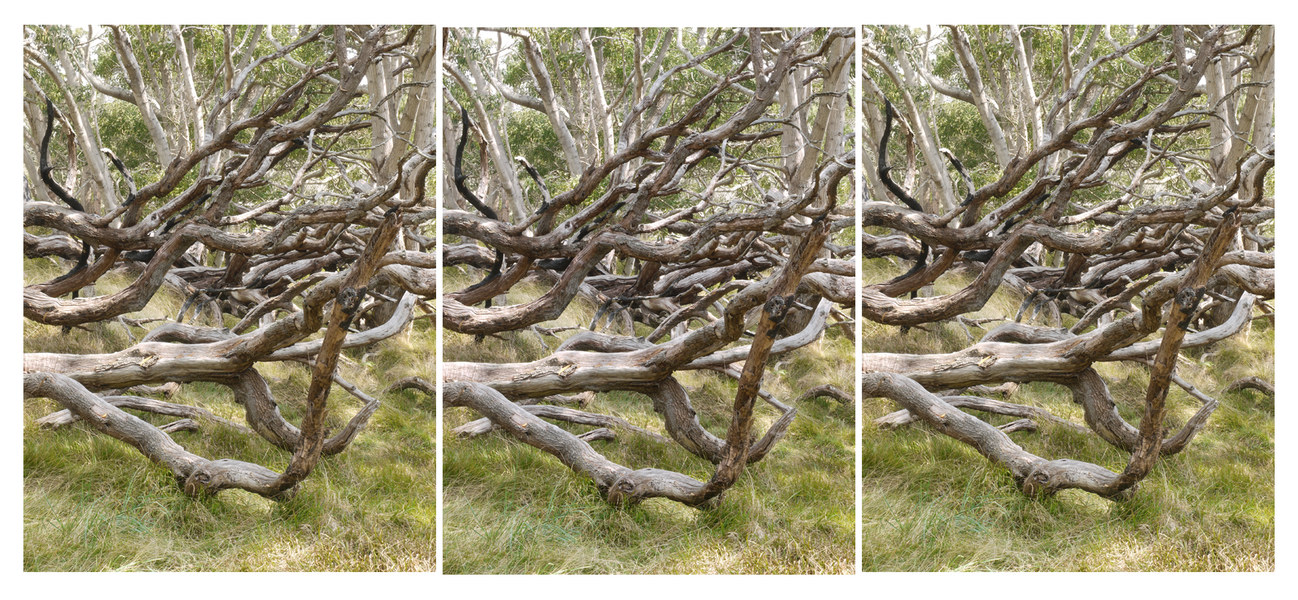 view 27, Hawai'i Volcanoes National Park Michael Kolster Views archival pigment print