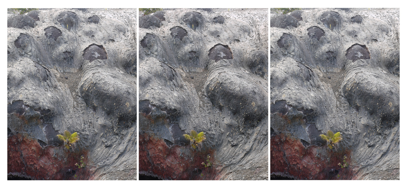view 15, Hawai'i Volcanoes National Park Michael Kolster Views archival pigment print