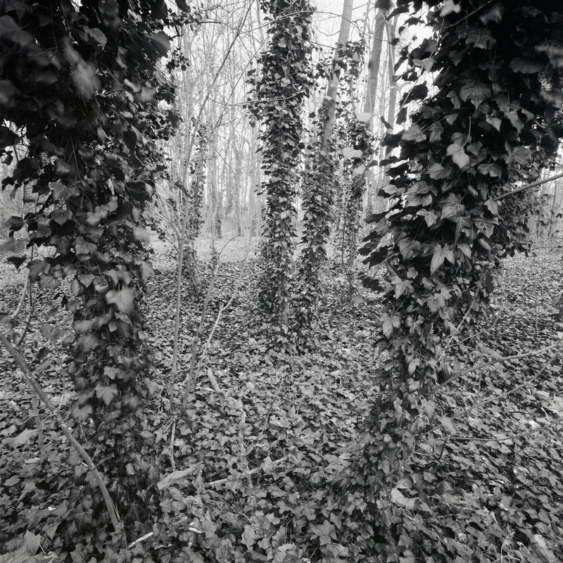 Parc de Sceaux 1/fr3 Michael Kolster Parc de Sceaux
