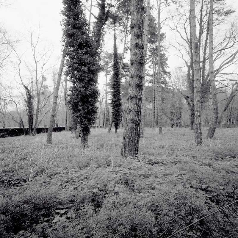 Parc de Sceaux 2/fr7 Michael Kolster Parc de Sceaux archival pigment print