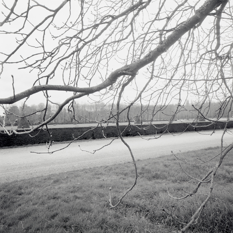 Parc de Sceaux 2/fr9 Michael Kolster Parc de Sceaux archival pigment print