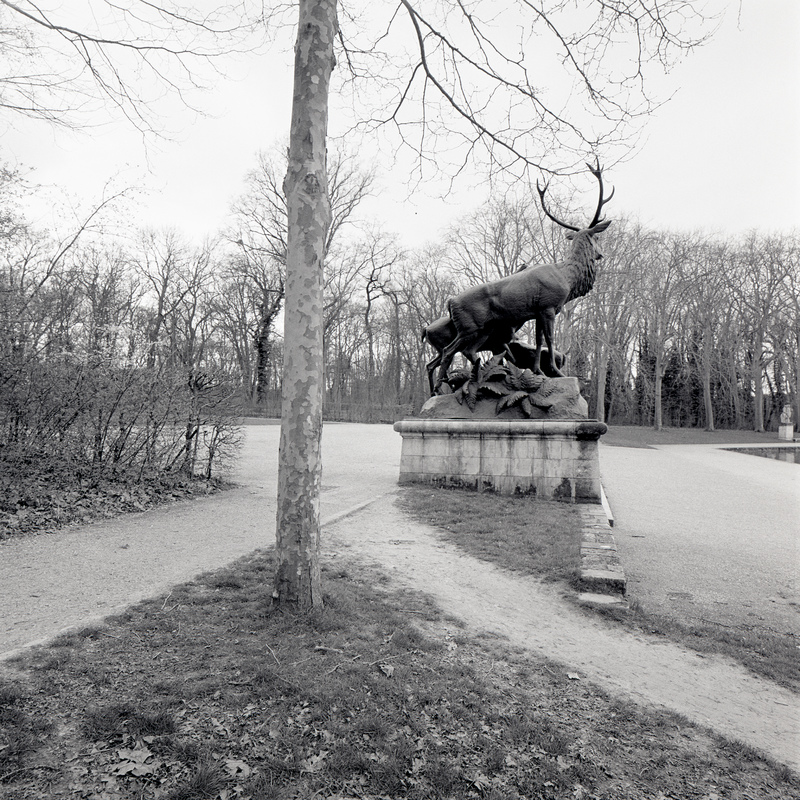 Parc de Sceaux 5/fr5 Michael Kolster Parc de Sceaux archival pigment print