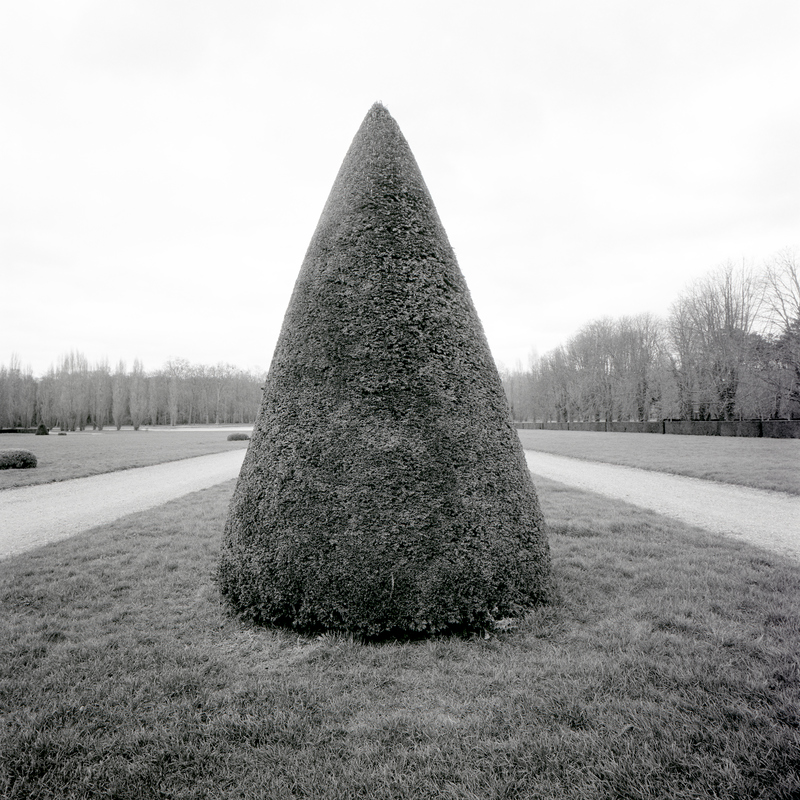 Parc de Sceaux 8/fr1 Michael Kolster Parc de Sceaux archival pigment print