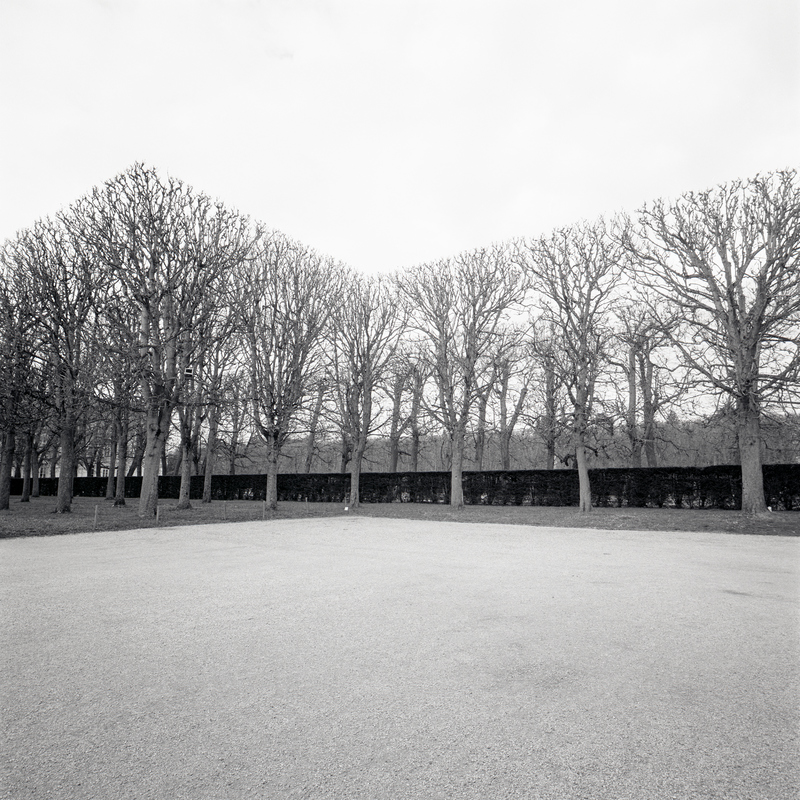 Parc de Sceaux 8a/fr11 Michael Kolster Parc de Sceaux archival pigment print