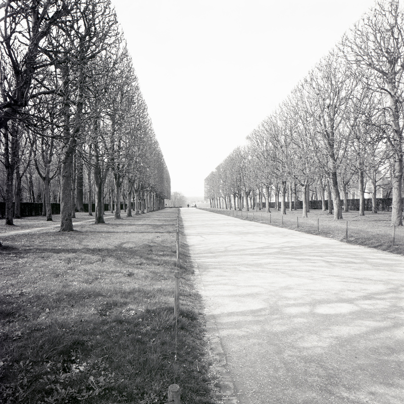 Parc de Sceaux 11/fr2 Michael Kolster Parc de Sceaux archival pigment print