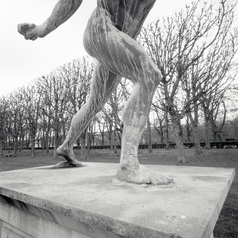 Parc de Sceaux 11//fr6 Michael Kolster Parc de Sceaux archival pigment print