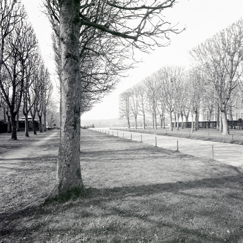 Parc de Sceaux 11/fr3 Michael Kolster Parc de Sceaux archival pigment print