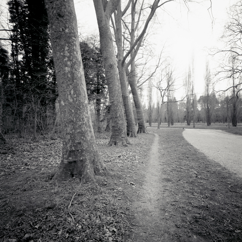Parc de Sceaux 12/fr7 Michael Kolster Parc de Sceaux archival pigment print