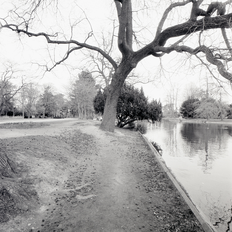 Bois de Boulogne 3/fr1 Michael Kolster Bois de Boulogne archival pigment print