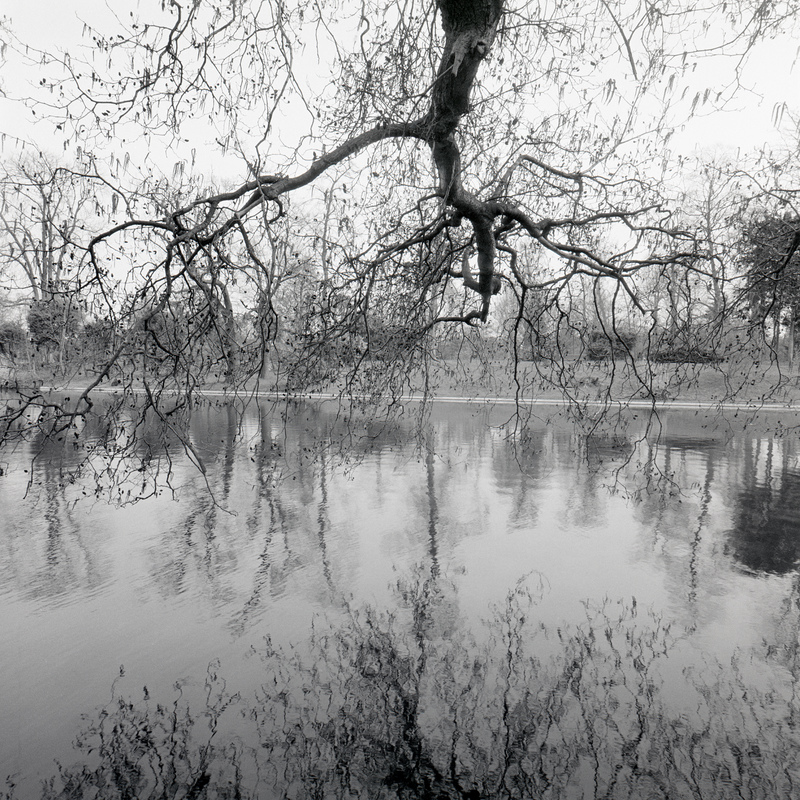 Bois de Boulogne 3/fr3 Michael Kolster Bois de Boulogne archival pigment print
