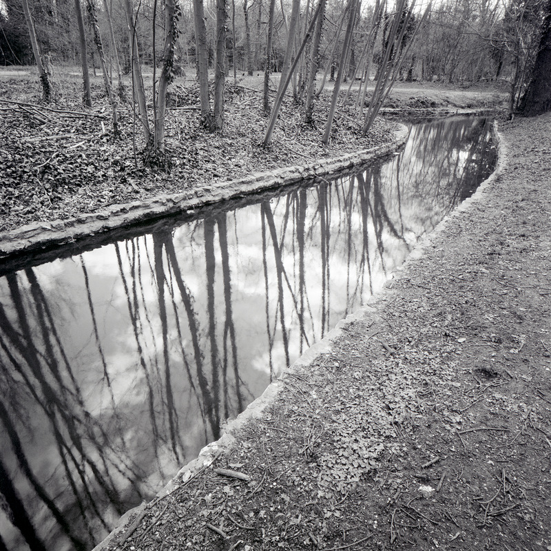 Bois de Boulogne 7/fr10 Michael Kolster Bois de Boulogne archival pigment print