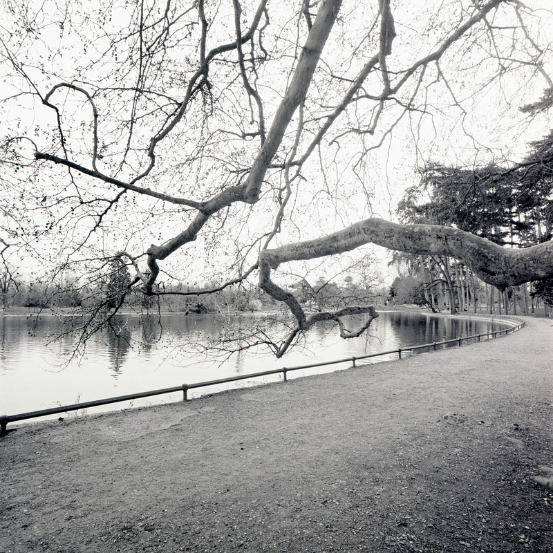 Bois de Boulogne 9/fr5 Michael Kolster Bois de Boulogne archival pigment print