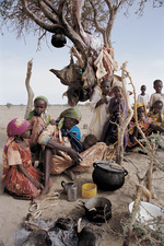  Darfur : Now 